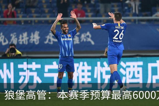 狼堡高管：本赛季预算最高6000万欧，力争完成在德乙的目标